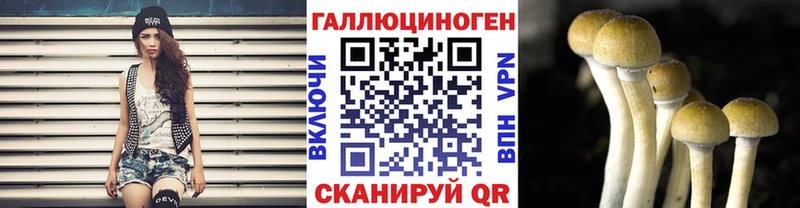 Псилоцибиновые грибы GOLDEN TEACHER  дарнет шоп  Рыльск 